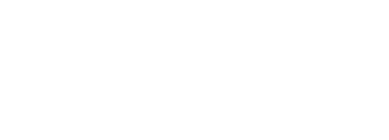 Everest Peak matrix badge 2025